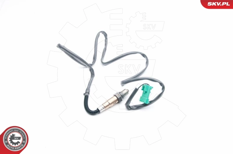 Oxygen Sensor